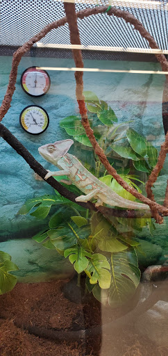 Pet Supply Store «Petco Animal Supplies», reviews and photos, 1333 Centennial Ave, Piscataway Township, NJ 08854, USA