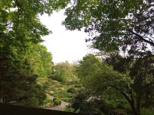 Park «Holcombe Rucker Park», reviews and photos, 280 W 155th St, New York, NY 10039, USA