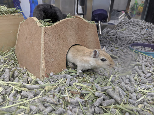 Pet Supply Store «IncrediPet», reviews and photos, 306 Southland Dr, Lexington, KY 40503, USA