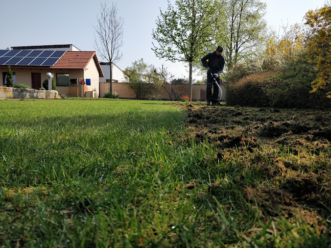 Öntözőrendszer és kertépítés Győr | OKOSKERT Kft. - Kertészkedő