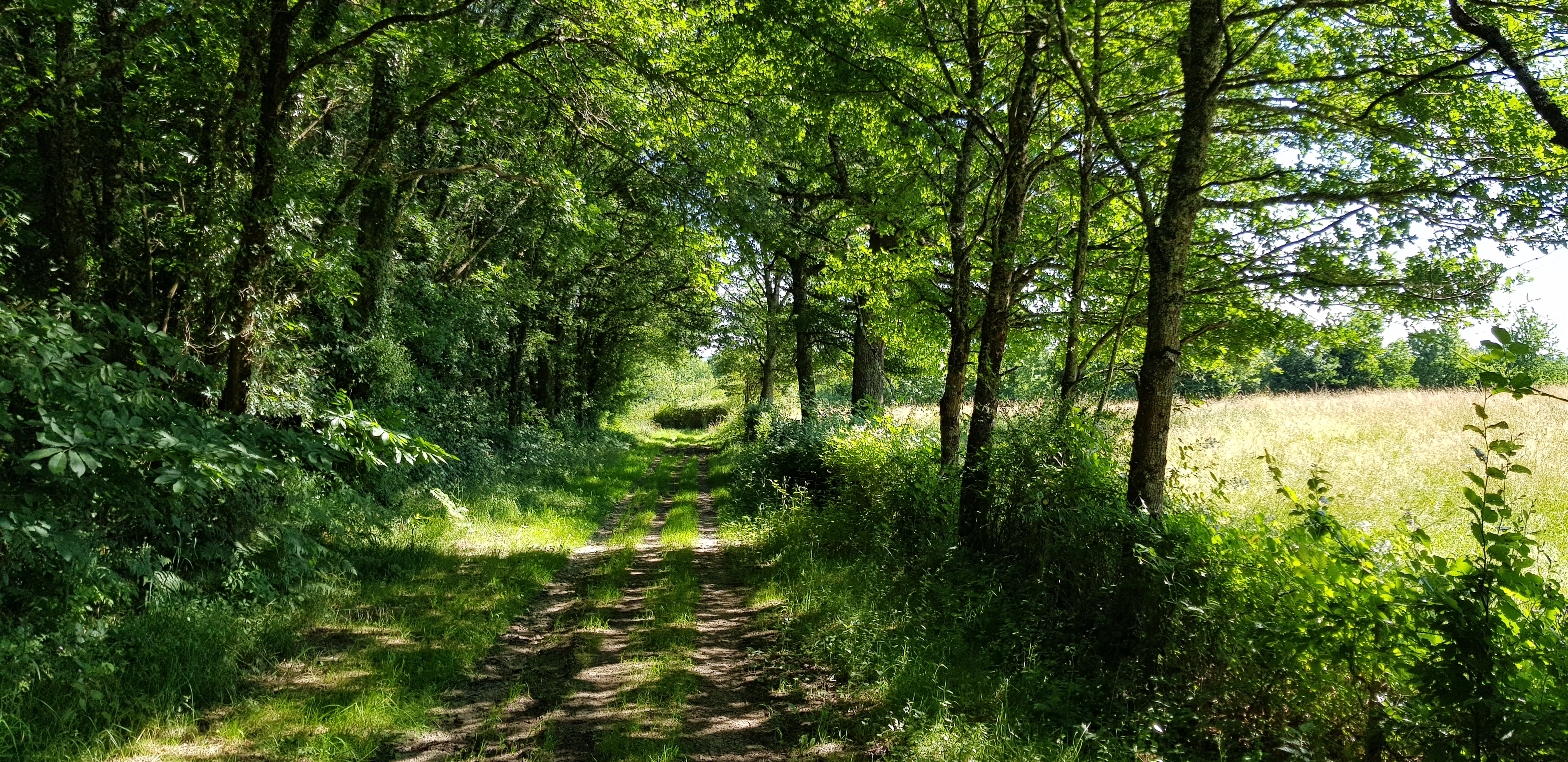 Photo n° 1 de l'avis de Raphael.r fait le 22/06/2018 à 18:50