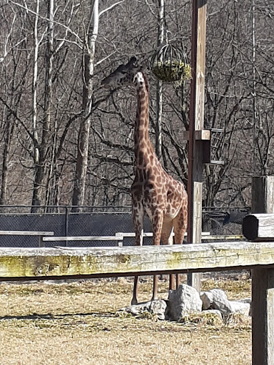 Zoo «Lehigh Valley Zoo», reviews and photos, 5150 Game Preserve Rd, Schnecksville, PA 18078, USA