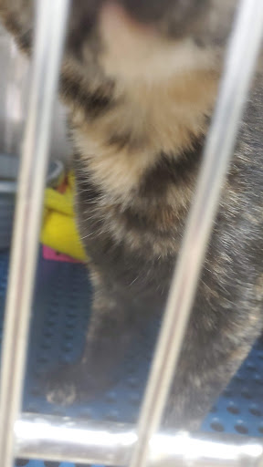 Pet Supply Store «Petsense Corinth», reviews and photos, 1663 Virginia Ln, Corinth, MS 38834, USA