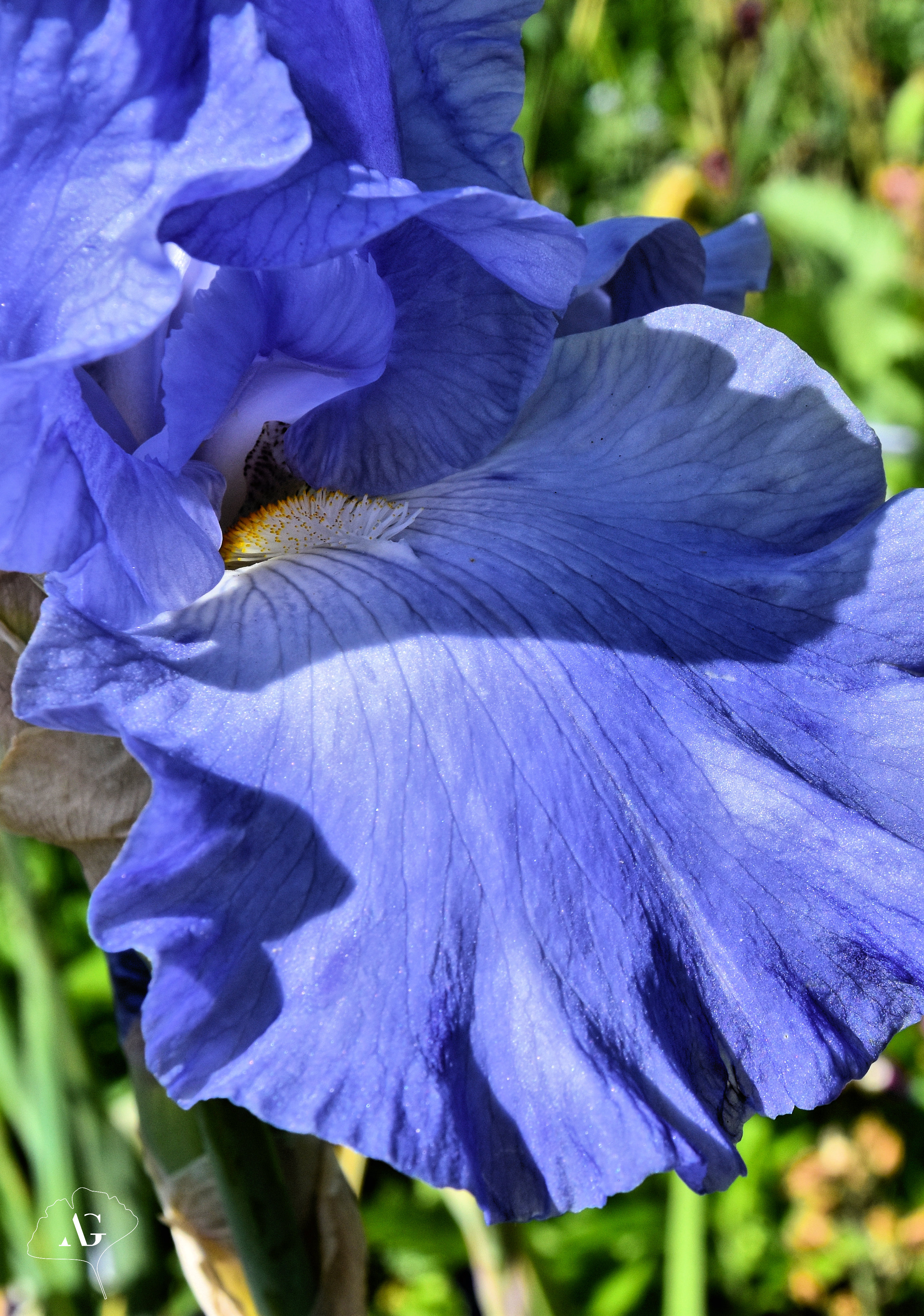 Photo n° 21 de l'avis de Audrey.. fait le 17/05/2022 à 09:49