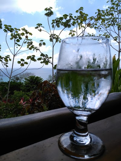 Photos of Aracari Restaurant
