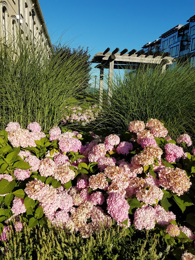 Park «Pierson Park», reviews and photos, 238 W Main St, Tarrytown, NY 10591, USA