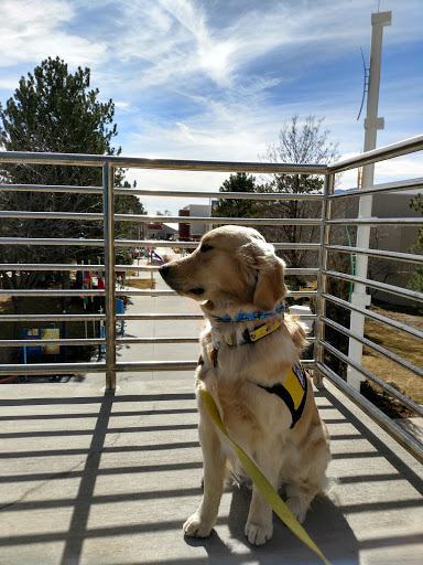 Sports Complex «U.S. Olympic Training Center», reviews and photos, 1 Olympic Plaza, Colorado Springs, CO 80909, USA