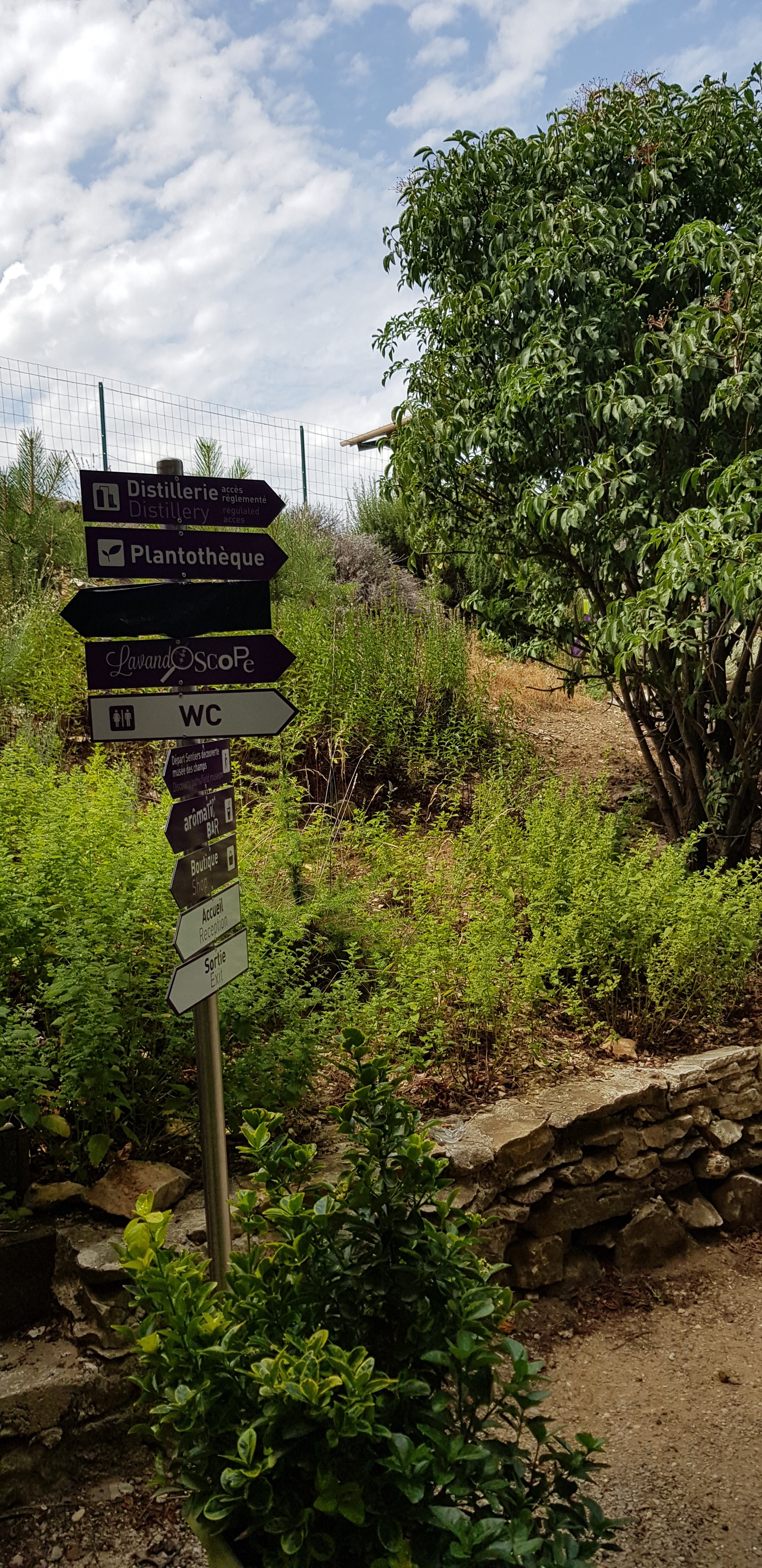 Photo n° 17 de l'avis de Christophe.r fait le 01/08/2019 à 14:04