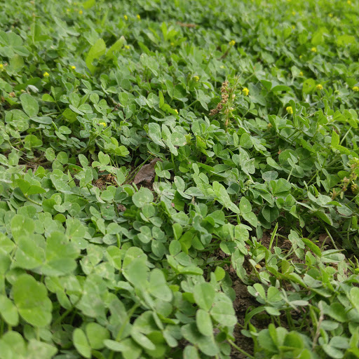 Park «Post Park», reviews and photos, 451 Unqua Rd, Massapequa Park, NY 11762, USA