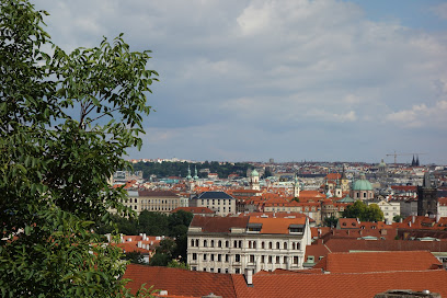 Středisko Sociálních Služeb