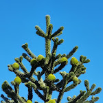 Photo n°1 de l'avis de Regi.n fait le 19/04/2022 à 14:33 sur le  Hotel Neuenfels à Badenweiler