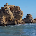 Photo n°3 de l'avis de Walter.a fait le 07/03/2019 à 19:24 sur le  A Sardinha à Albufeira