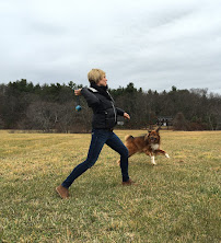 Walden Pet - Photo 3 - Car repair in Concord, MA, Lowell