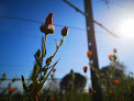 Blossom Chateau Les Brettes Guitres