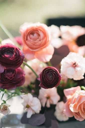 Florist «Red Carpet Flower Shop», reviews and photos, 56 Main St, Durham, NH 03824, USA