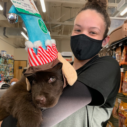 Pet Store «Choice Pet Market», reviews and photos, 15681 N Hayden Rd #114, Scottsdale, AZ 85260, USA