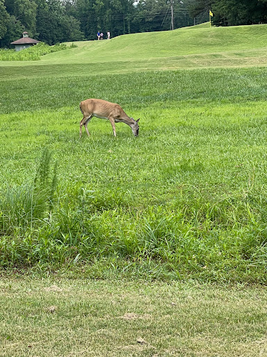 Golf Course «RiverPines Golf», reviews and photos, 4775 Old Alabama Rd, Johns Creek, GA 30022, USA