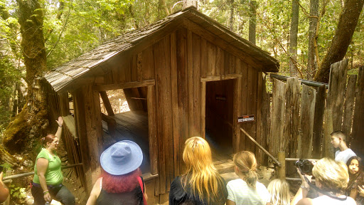 Tourist Attraction «Oregon Vortex», reviews and photos, 4303 Sardine Creek L Fork Rd, Gold Hill, OR 97525, USA
