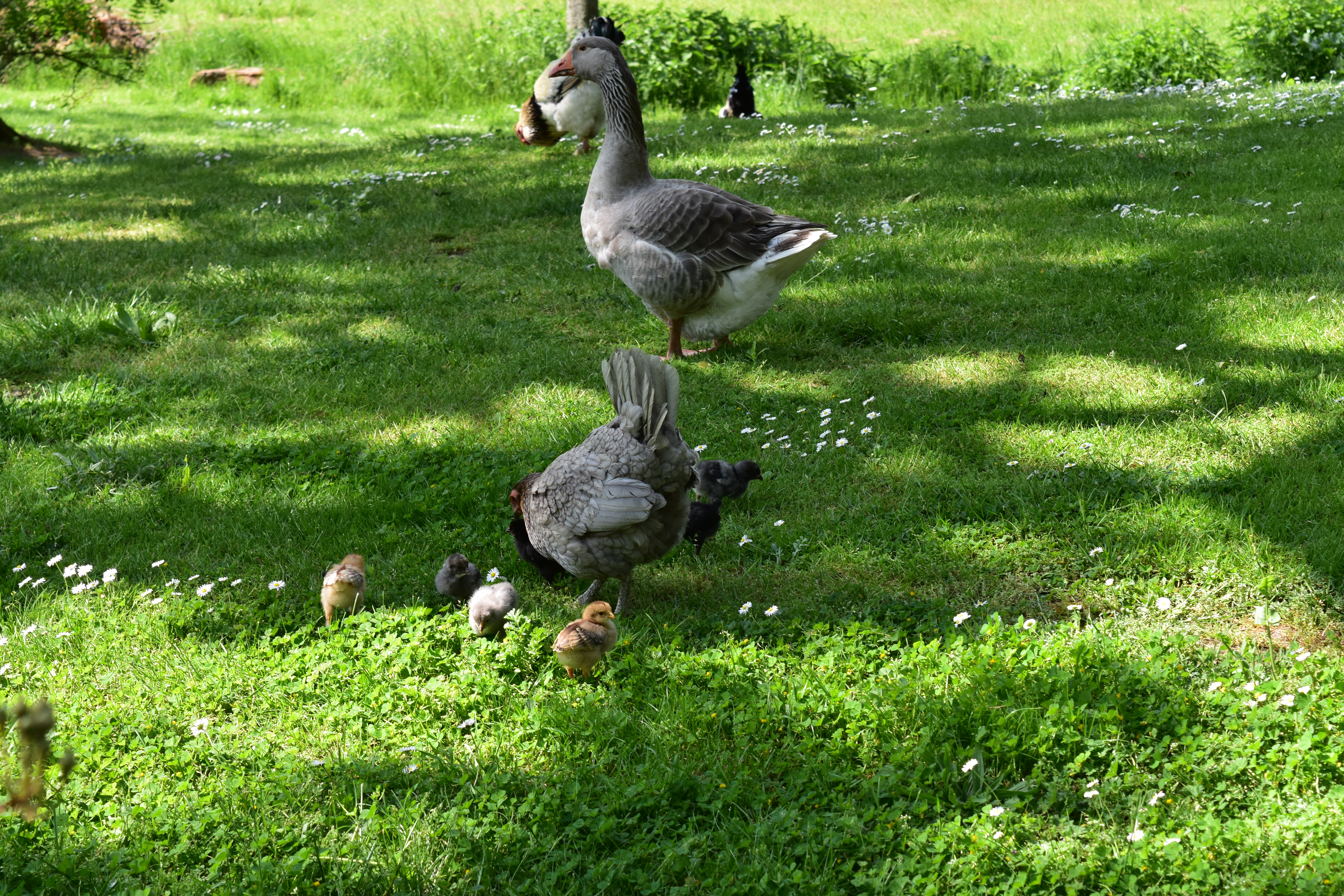 Photo n° 8 de l'avis de Sylvain.h fait le 08/05/2022 à 16:18