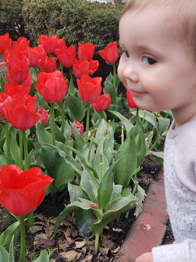 Park «Falls Park», reviews and photos, 460 Falls Park Dr, Pendleton, IN 46064, USA