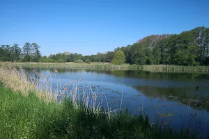 Raszyn Ponds Reserve image