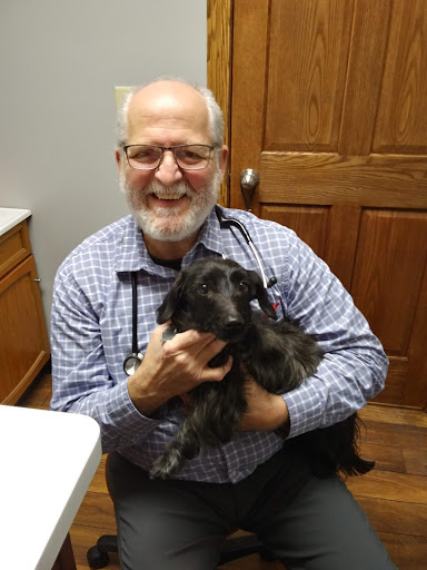 Molitor Pet & Bird Clinic image