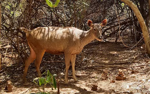 Tirumala Deer Park Reserve image