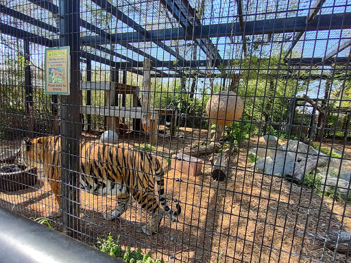 Zoo «Washington Park Zoo», reviews and photos, 115 Lake Shore Dr, Michigan City, IN 46360, USA