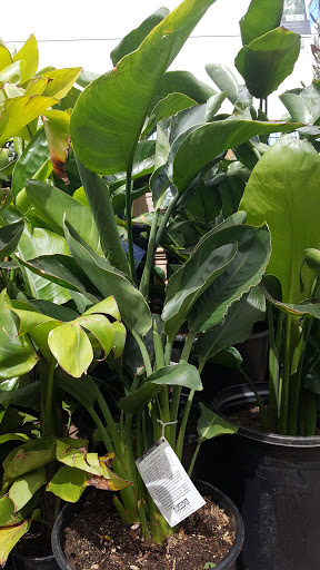 Hardware Store «Orchard Supply Hardware», reviews and photos, 1010 Metro Center Blvd, Foster City, CA 94404, USA