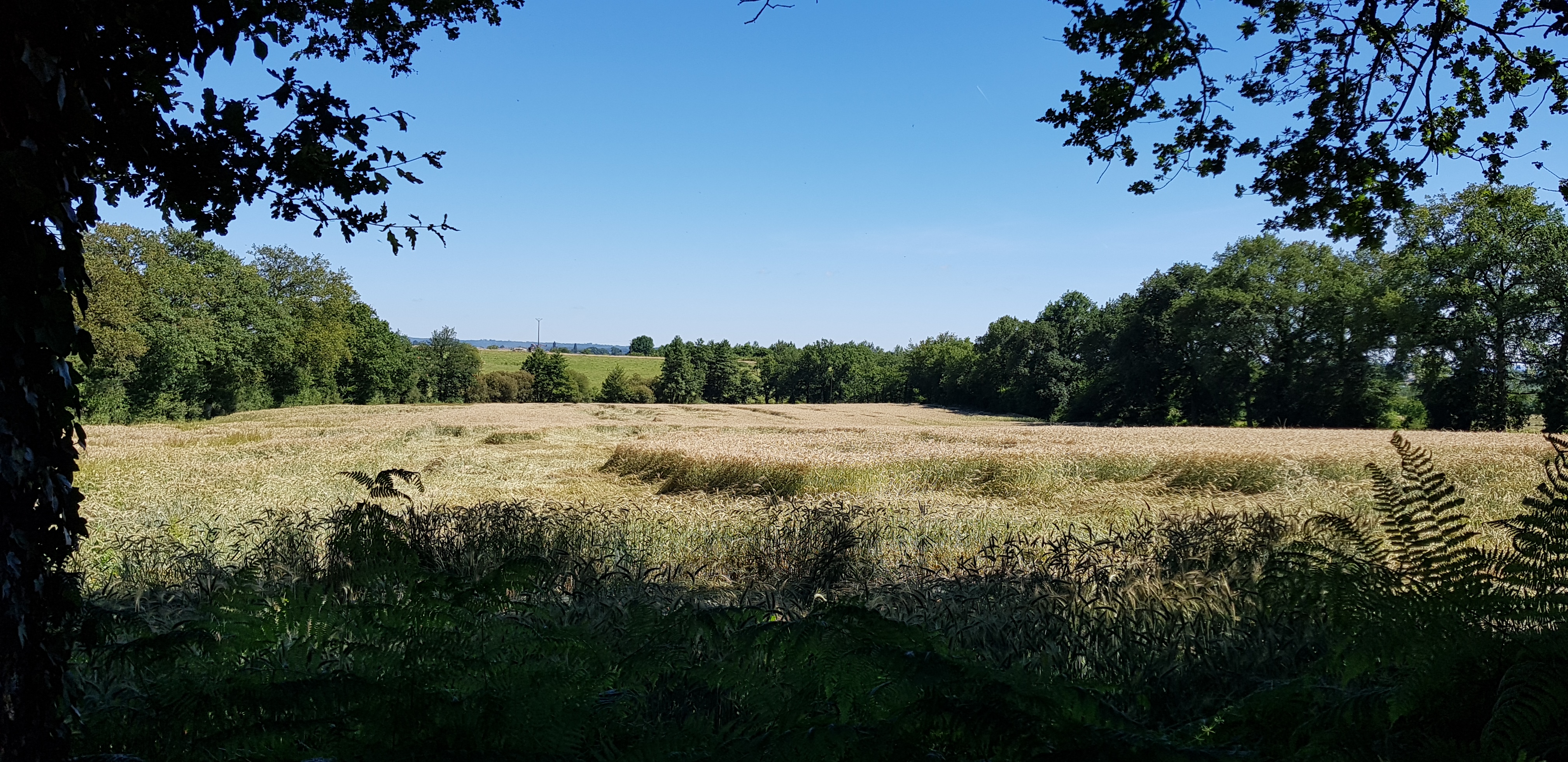 Photo n° 2 de l'avis de Raphael.r fait le 22/06/2018 à 18:50