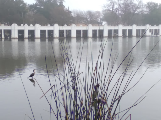 Park «White Rock Lake Park», reviews and photos, E Lawther Dr, Dallas, TX 75218, USA