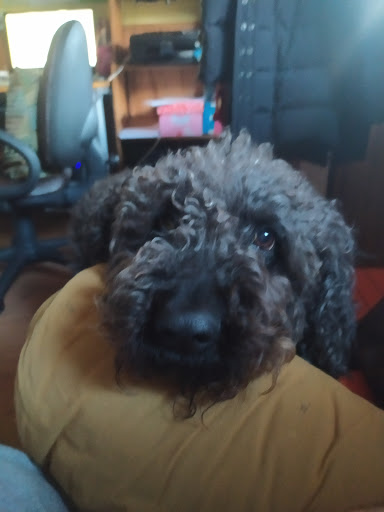 Centro Veterinario Los Molinos en Los Molinos