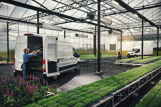 Ford Dealer «Newins Bay Shore Ford», reviews and photos, 219 W Main St, Bay Shore, NY 11706, USA