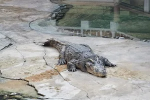 Samut Prakan Crocodile Farm & Zoo image