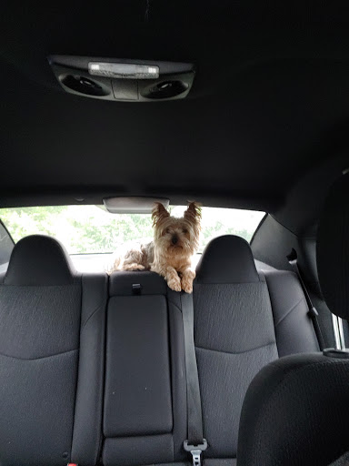 Pet Supply Store «PetSmart», reviews and photos, 2389 Taylor Park Dr, Reynoldsburg, OH 43068, USA