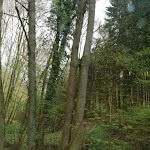 Photo n°5 de l'avis de Lilla.o fait le 14/04/2019 à 14:15 sur le  Lindenhof à Mörlenbach