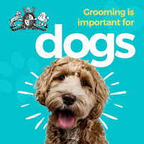 Royal Pet Salon & Dog Grooming - Photo 1 - Car repair in McAllen, TX, McAllen