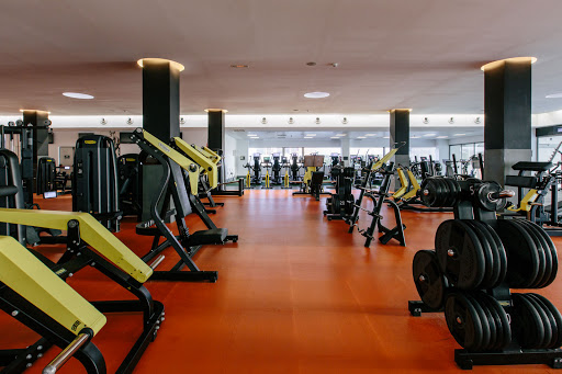 Club esportiu Arena Alacant en Alicante, Alicante