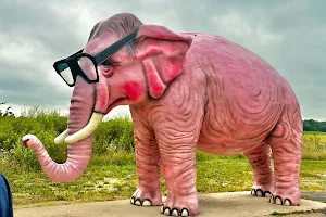 Pink Elephant image