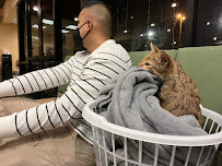 VCA California Veterinary Specialists-Carlsbad - Photo 3 - Car repair in Carlsbad, CA, Carlsbad