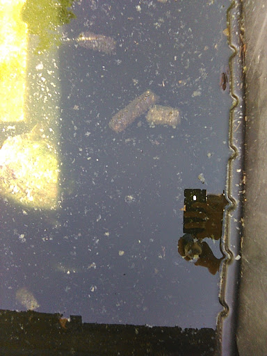 Zoo «Tri-State Zoological Park», reviews and photos, 10105 Cottage Inn Ln NE, Cumberland, MD 21502, USA