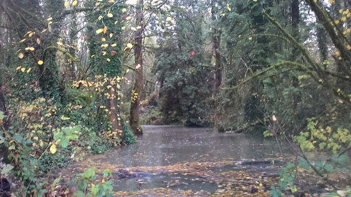 Golf Course «Willamette Valley Country Club», reviews and photos, 900 Country Club Pl, Canby, OR 97013, USA