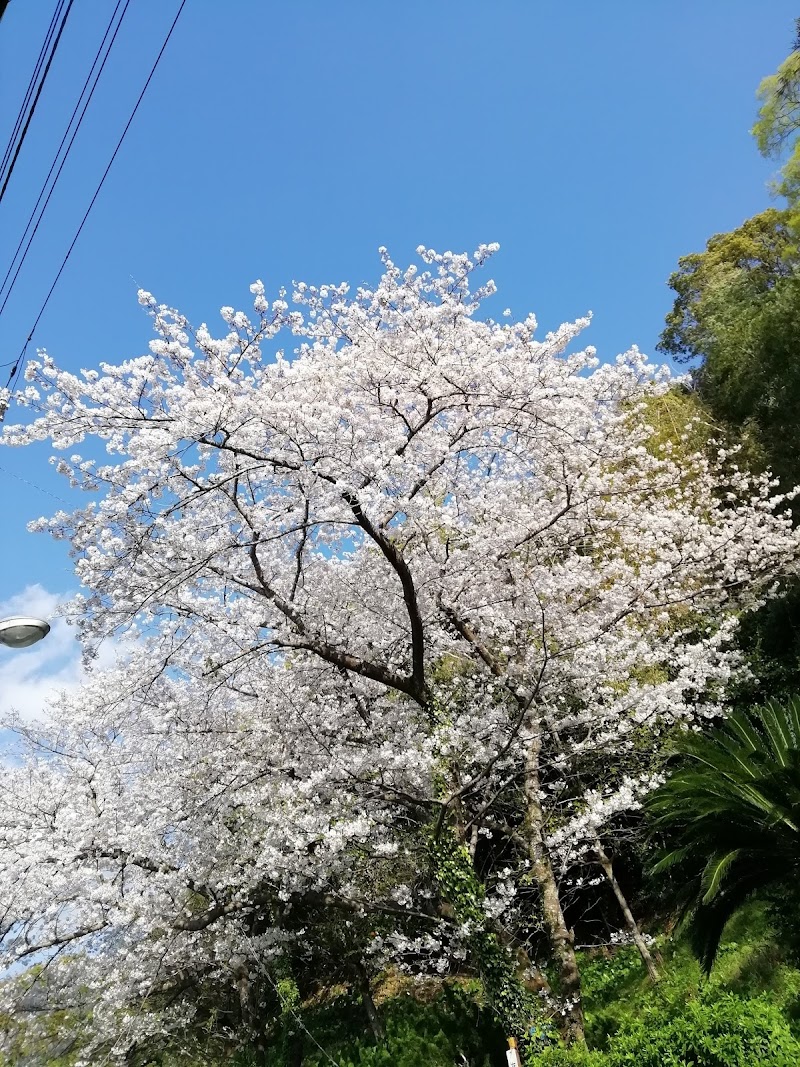 でんにゅうあん地蔵