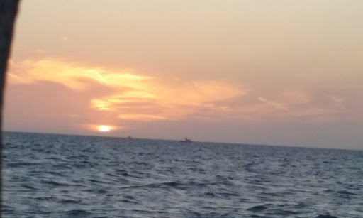 Grocery Store «Winn-Dixie», reviews and photos, 14134 US-19 #710, Hudson, FL 34667, USA