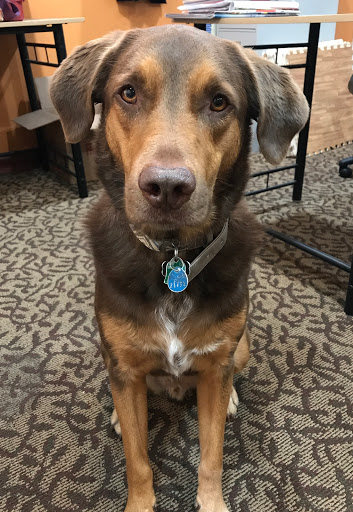 Pet Store «Hearty Pet Retail Store», reviews and photos, 19918 Jefferson Blvd, Hagerstown, MD 21740, USA