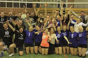 Volleyball Club Mainz e.V. image