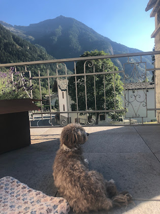 Photos des visiteurs Bed & Breakfast Le Relais du Boucher 11020 Gaby