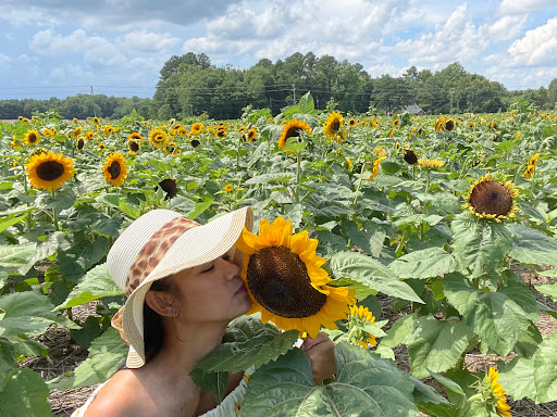 Fruit and Vegetable Store «Henley Farm», reviews and photos, 3513 Charity Neck Rd, Virginia Beach, VA 23456, USA