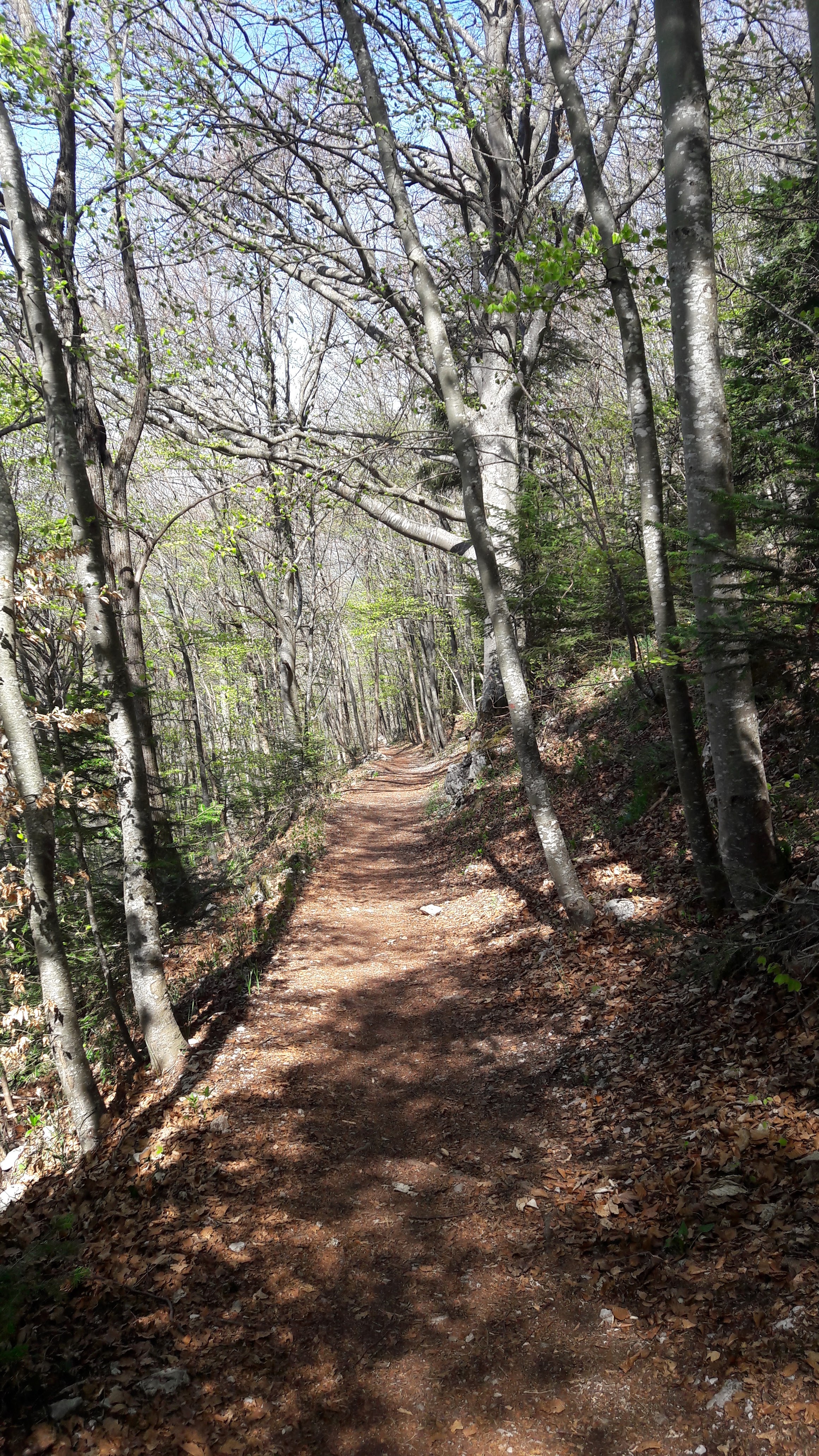 Photo n° 3 de l'avis de PL-J.o fait le 04/05/2018 à 20:16
