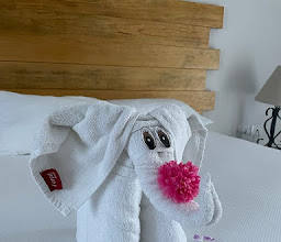 Petit Lafitte Hotel photo